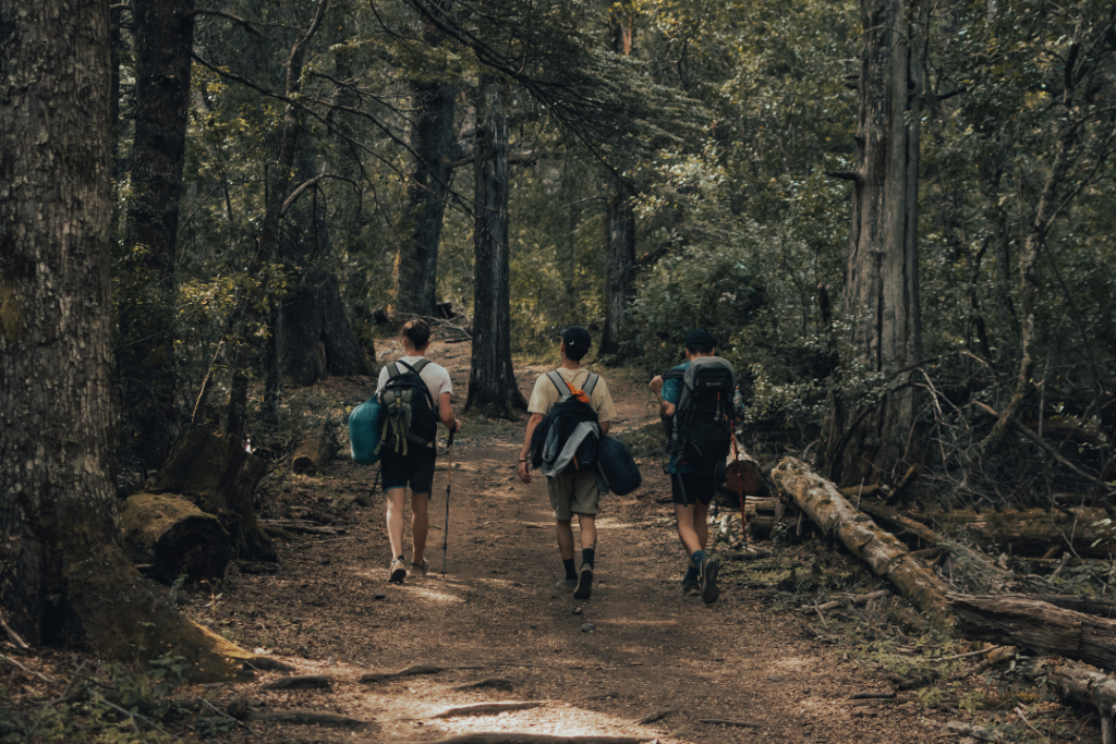 three people with backpacks walking on a trail in the woods